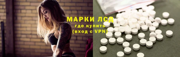 ПСИЛОЦИБИНОВЫЕ ГРИБЫ Краснотурьинск