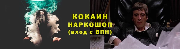 ПСИЛОЦИБИНОВЫЕ ГРИБЫ Краснотурьинск