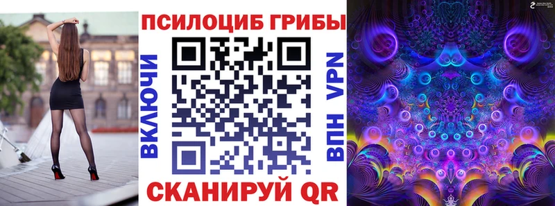 купить  сайты  Лабинск  Псилоцибиновые грибы Psilocybe 